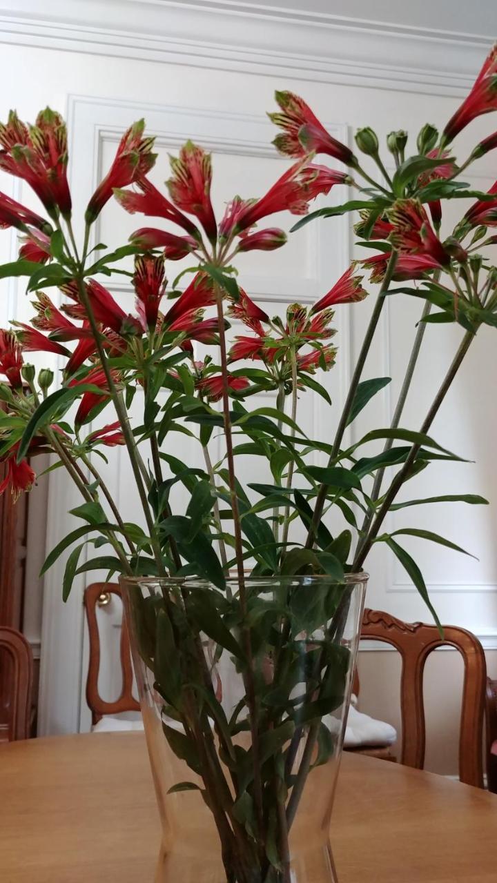 Fruits Of Vienna B&B Экстерьер фото